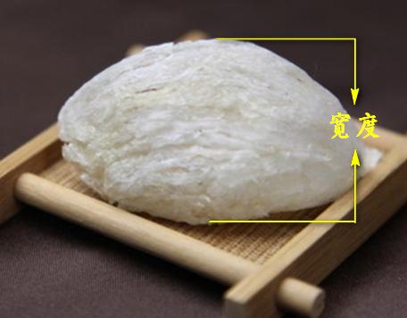 燕窝及其分类